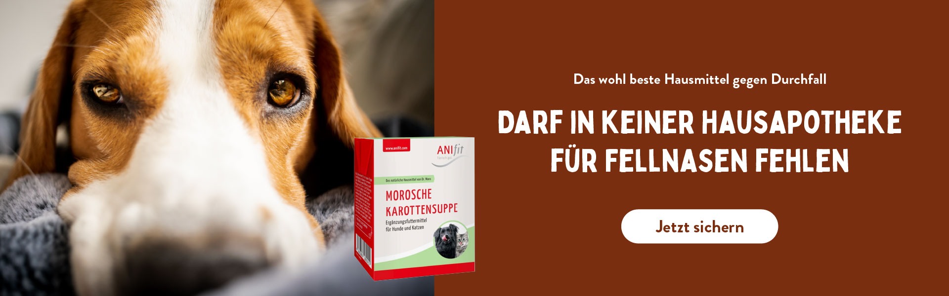 Morosche Karottensuppe