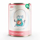 Cat Wet pet food BIO Steak Sensation 400g 6 Piece -1- Anifit